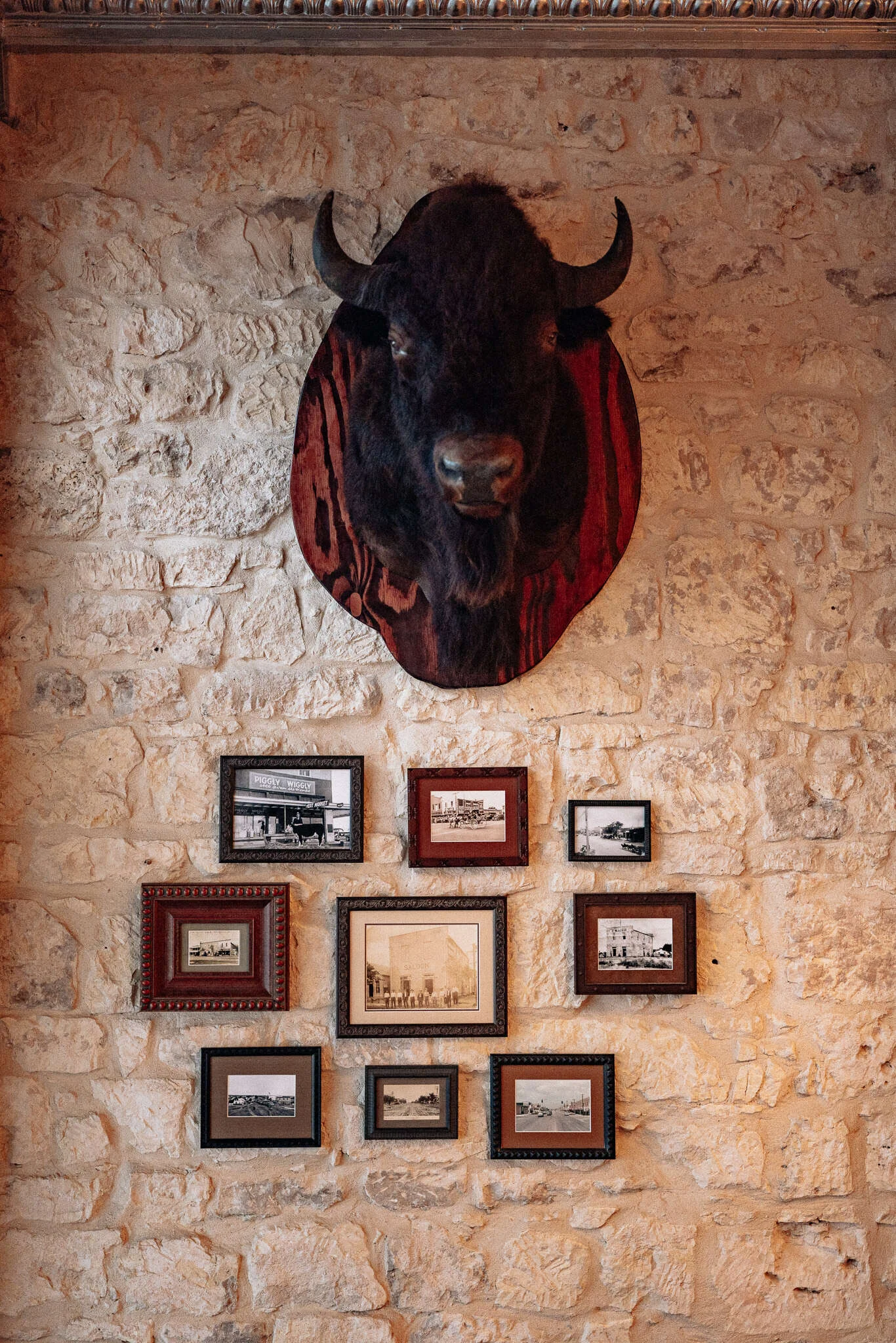 Bison mount over framed historic photos of Fredericksburg, including the Piggly Wiggly, the saloon and the E. Maier store, on the limestone wall at William Chris Fredericksburg